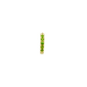 147 Eternity Hoop M | Green Di-Chrome