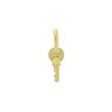 Load image into Gallery viewer, 157 Little Key Pendant