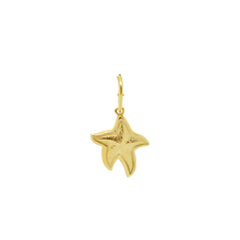 Load image into Gallery viewer, 93 Starfish XL Pendant