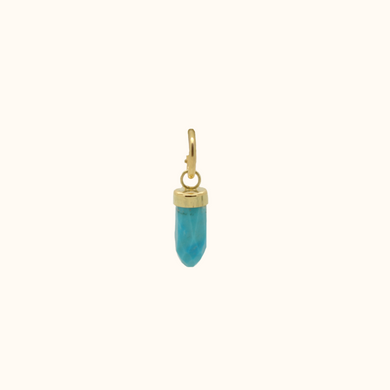 #120 Golden Crystal Turquoise Stone Earring