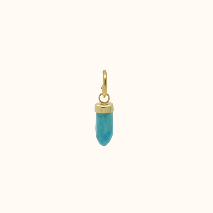 capi Golden Crystal Turquoise Stone Earring