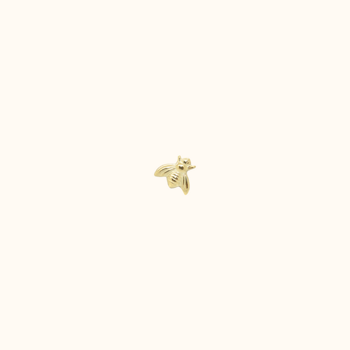 capi Golden Fly Stud