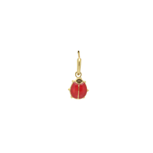 Load image into Gallery viewer, 88 Beetle Colour Earring