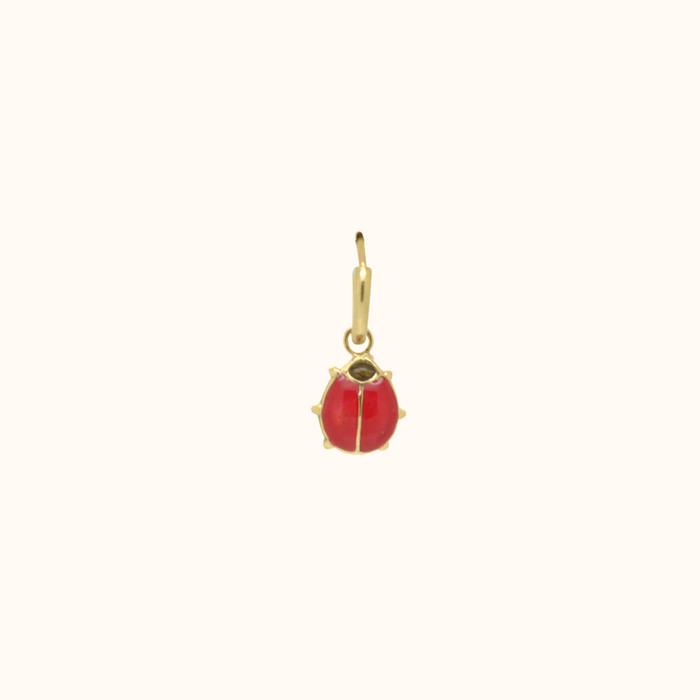 capi Beetle Colour Earring