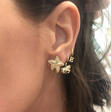 Load image into Gallery viewer, 93 Starfish XL Earring