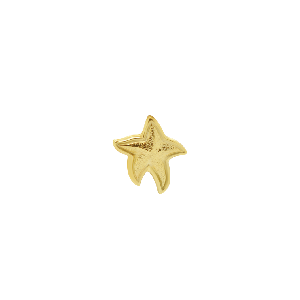 #93 Starfish XL Stud