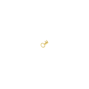 #127 Golden Key Pendant
