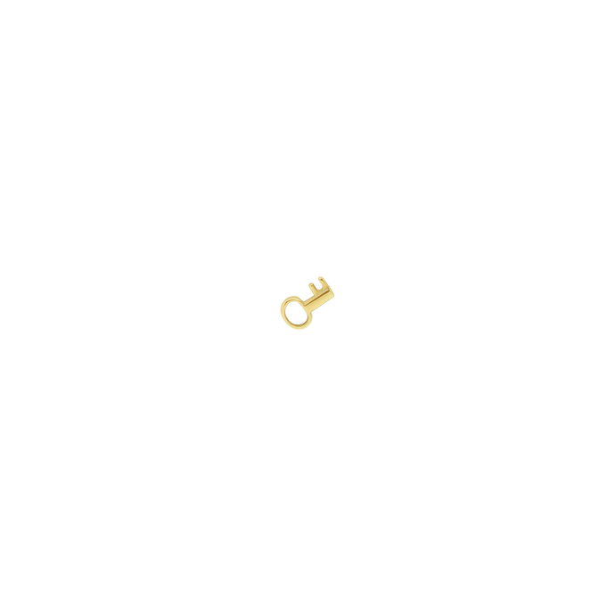#127 Golden Key Pendant
