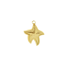 Load image into Gallery viewer, 93 Starfish XL Pendant